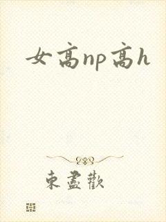 女高np高h封面