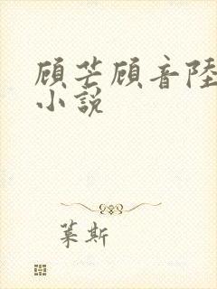 顾芒顾音陆承洲小说封面