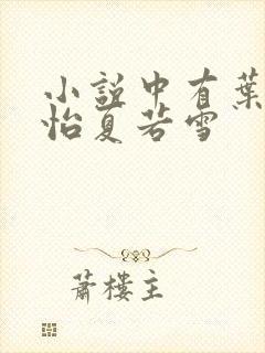 小说中有叶辰孙怡夏若雪