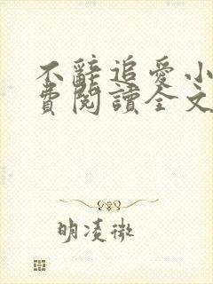 不辞追爱小说免费阅读全文最新章节