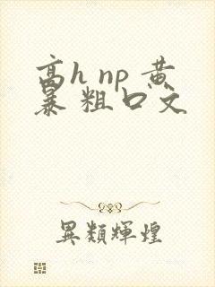 高h np 黄暴 粗口文