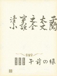 清穿之太子娇妃小说全文阅读封面