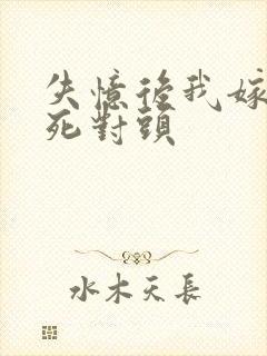 失忆后我嫁给了死对头