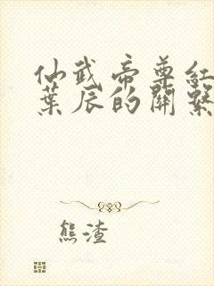 仙武帝尊红尘与叶辰的关系封面