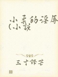 小柔的淫辱日记(小说