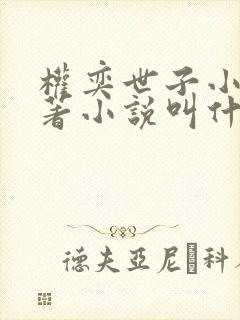 权奕世子小说原著小说叫什么名字啊