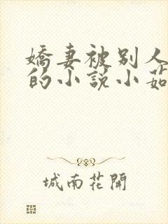 娇妻被别人强干的小说小茹