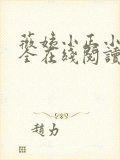 薇姨小正小说大全在线阅读