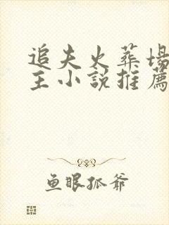 追夫火葬场双男主小说推荐封面