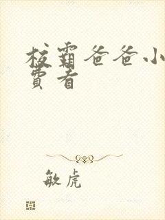 校霸爸爸小说免费看