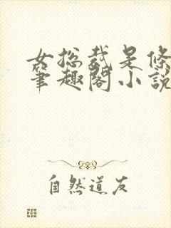 女总裁是条骚狗笔趣阁小说封面