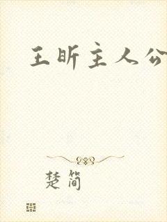 王昕主人公小说封面