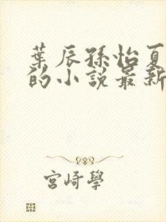 叶辰孙怡夏若雪的小说最新封面