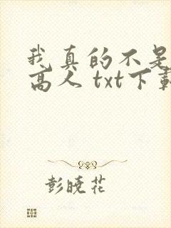 我真的不是盖世高人 txt下载