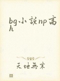 bg小说np高h