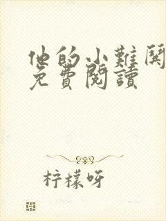 他的小难哄全文免费阅读封面