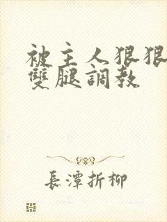 被主人狠狠打开双腿调教