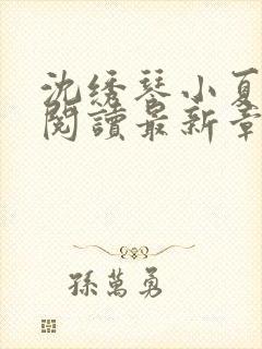 沈绣琴小夏全文阅读最新章节