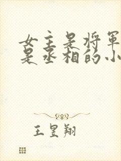 女主是将军男主是丞相的小说