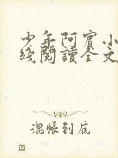 少年阿宾小说在线阅读全文免费