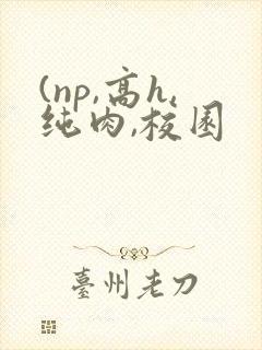 (np,高h,纯肉,校园