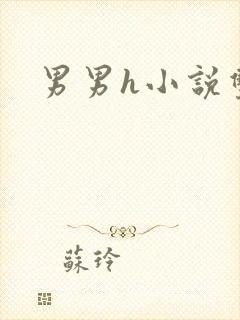 男男h小说双性