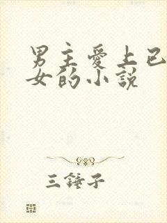 男主爱上已婚妇女的小说