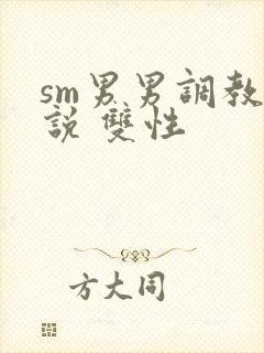 sm男男调教小说 双性封面