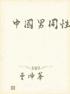 中国男同性视频封面