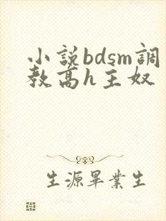 小说bdsm调教高h主奴