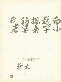 我的总裁白富美老婆秦宇小说正版