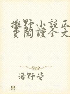 撒野小说正版免费阅读全文无删减