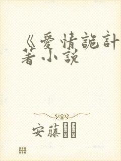 《爱情诡计》原著小说封面