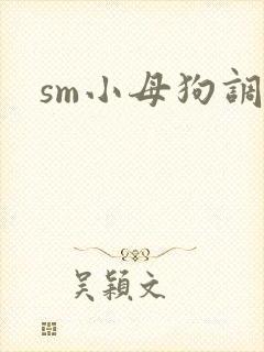sm小母狗调教