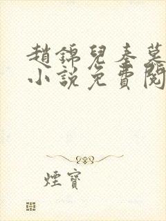 赵锦儿秦慕修的小说免费阅读