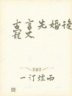 古言先婚后爱甜宠文