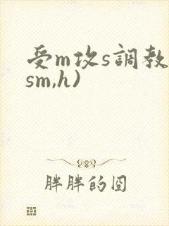 受m攻s调教(sm,h)