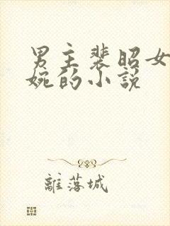 男主裴昭女主林婉的小说封面