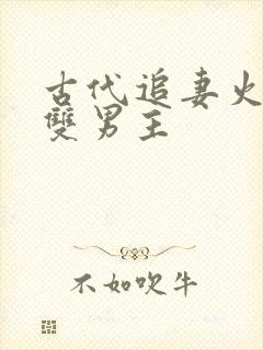 古代追妻火葬场双男主封面