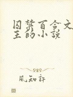 囚禁百合文双女主的小说封面