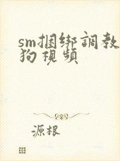 sm捆绑调教母狗视频