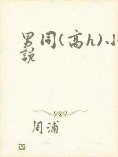 男同(高h)小说封面