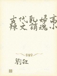 古代乳妇高h肉辣文销魂小妾