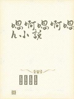 嗯啊嗯啊嗯啊高h小说封面