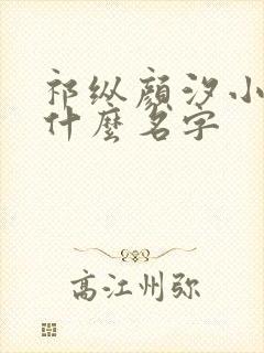 祁纵颜汐小说叫什么名字封面