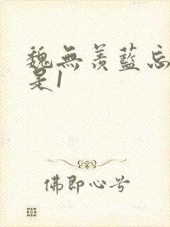 魏无羡蓝忘机谁是1封面