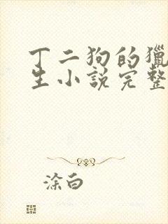 丁二狗的猎艳人生小说完整版