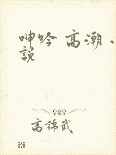 呻吟 高潮 小说