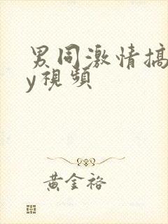 男同激情搞gay视频