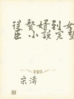 从赘婿到女帝宠臣 小说完整